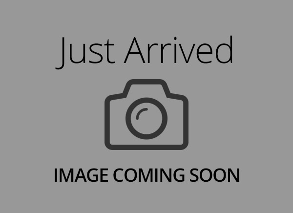 English Bulldog – 22317