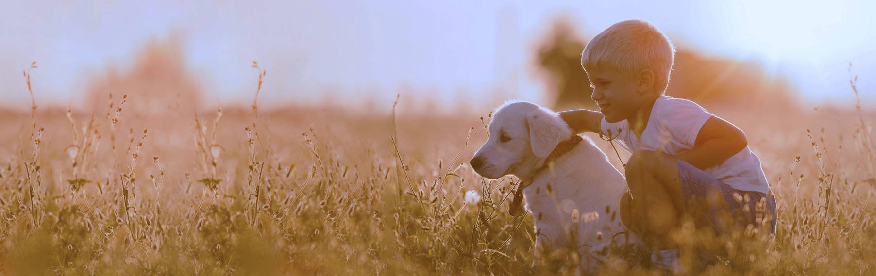 Puppies for Sale in Topeka, KS banner