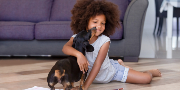 Pet Store Banner