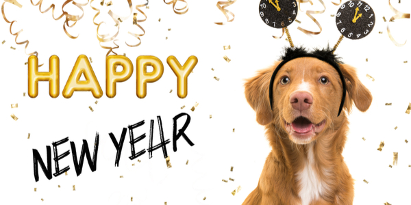 Including Your Dog in Your New Year’s Resolution