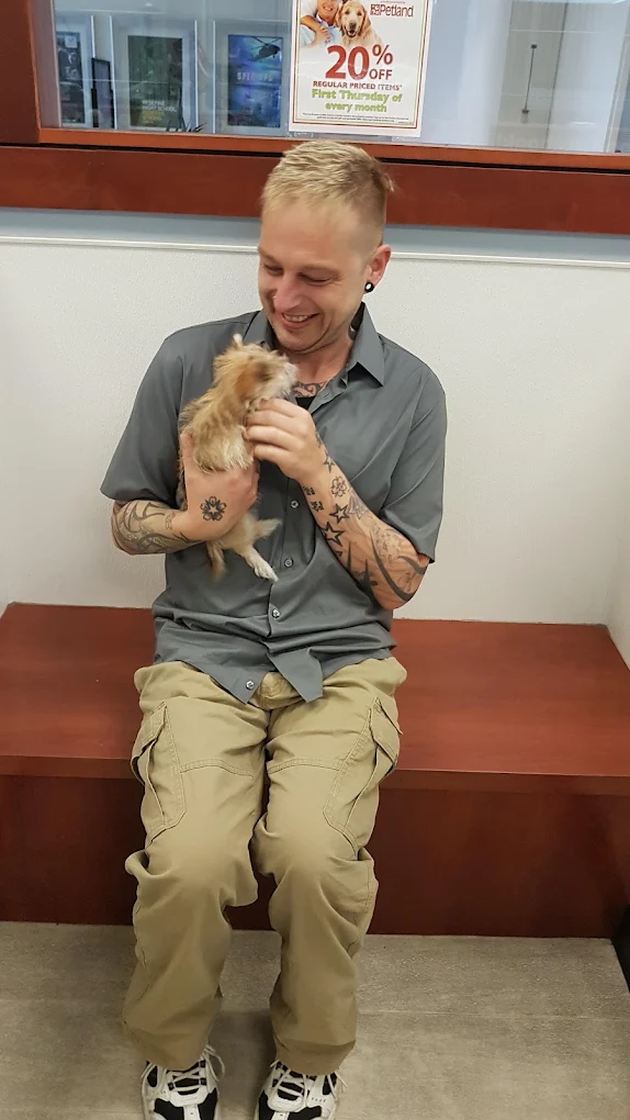 Puppies at Petland Topeka